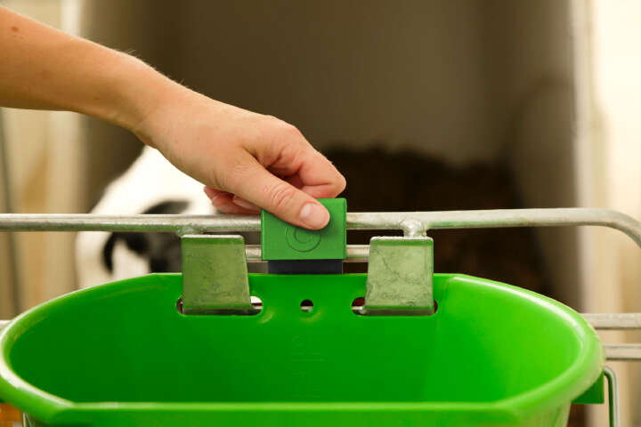 KERBL Auswurfsicherung Bucket Guard